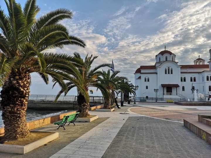 Villa Nikos Paralia エクステリア 写真